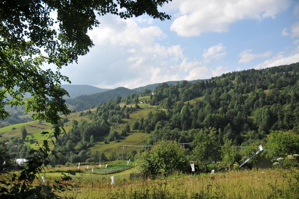 Drevenicka 110 Villa Zázrivá Dış mekan fotoğraf