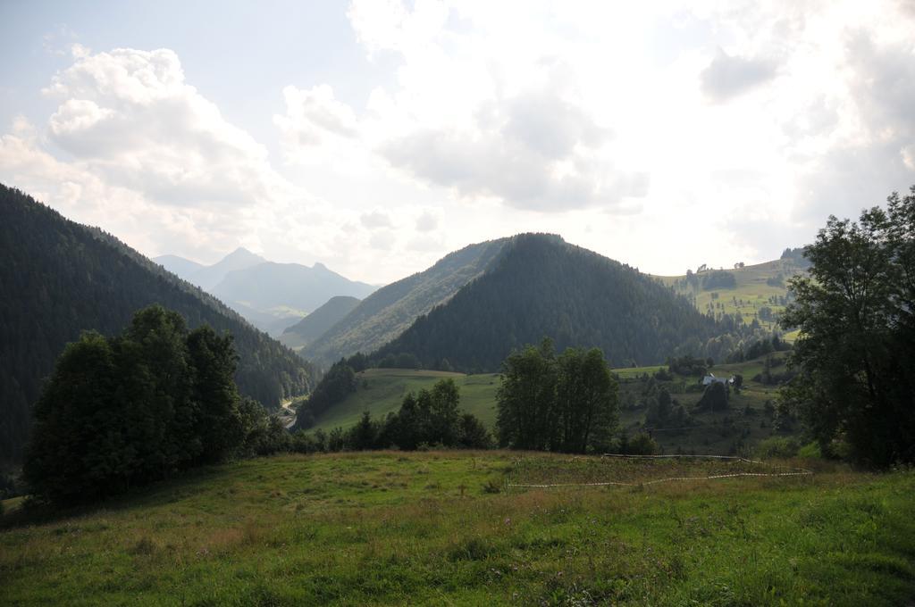 Drevenicka 110 Villa Zázrivá Dış mekan fotoğraf